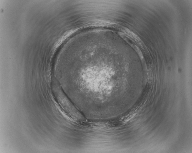 X0000057570436200510071547