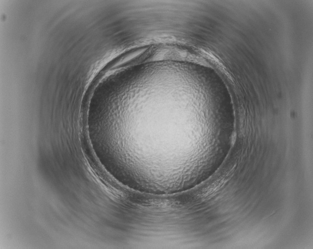 X0000057570439200510071547