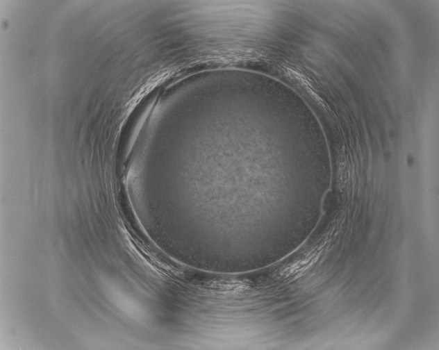 X0000057570443200510071547