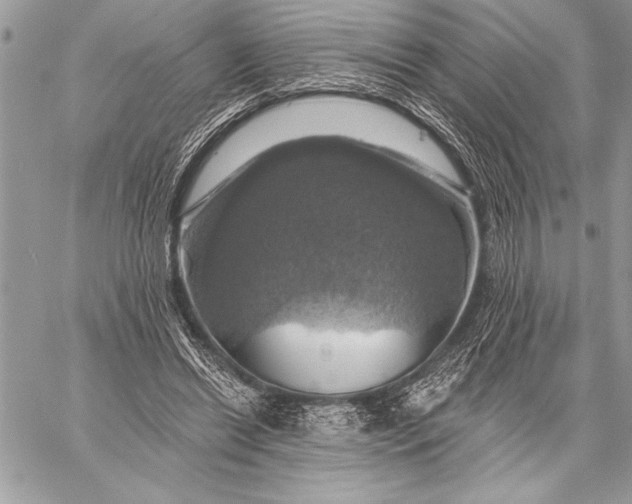 X0000057570446200510071547