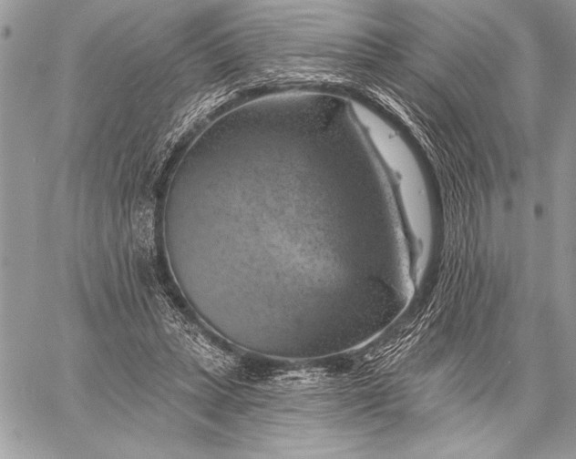 X0000057570447200510071547