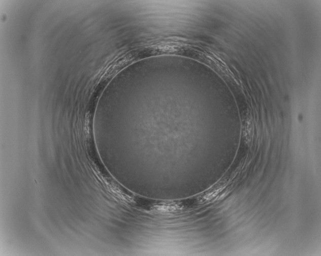X0000057570466200510071548