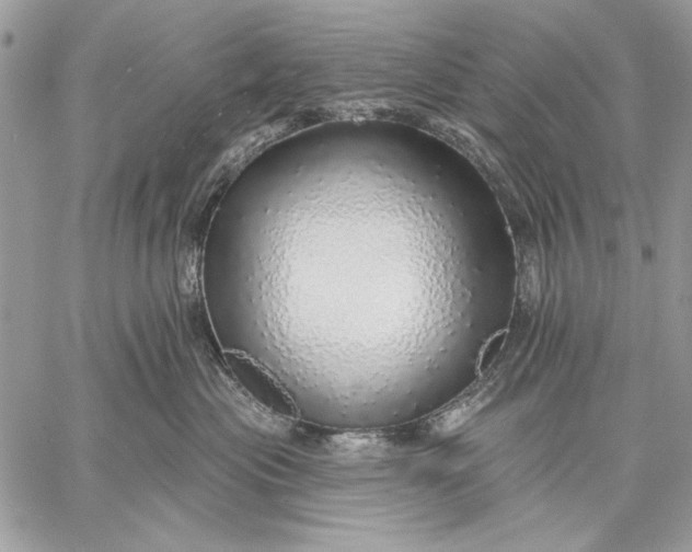X0000057570477200510071548