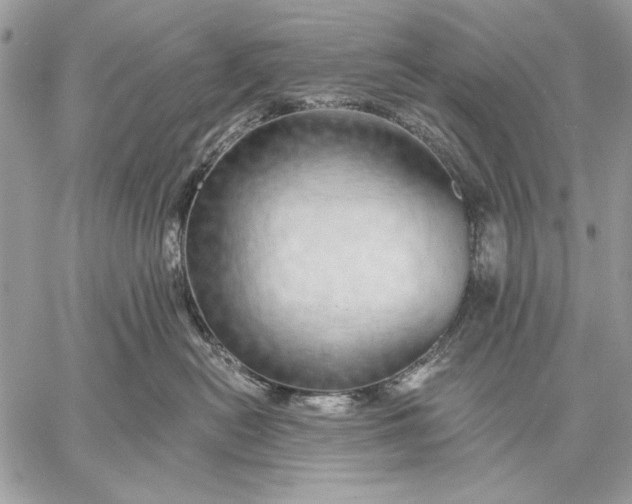 X0000057570478200510071548