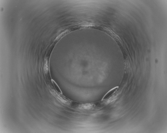X0000057570479200510071548