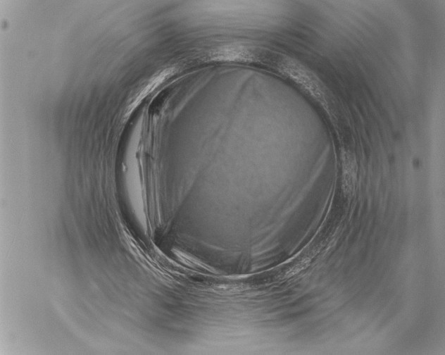 X0000057570482200510071547