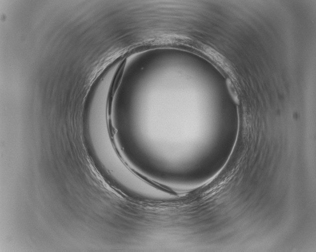 X0000057570485200510071547