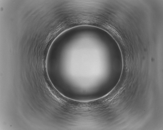 X0000057570489200510071547