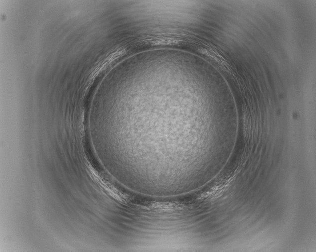 X0000057570490200510071547