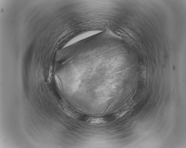 X0000057570507200510071547