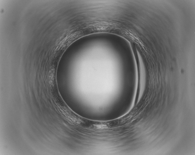 X0000057570509200510071547