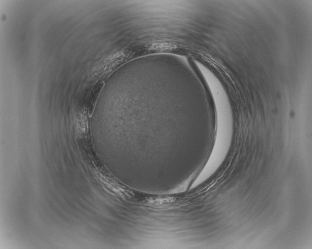 X0000057570517200510071547