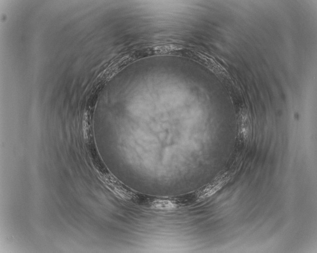 X0000057570519200510071547