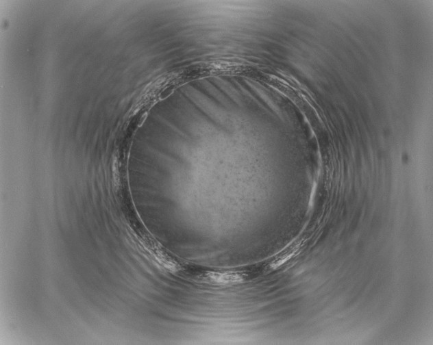 X0000057570520200510071547