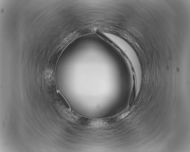 X0000057570521200510071547