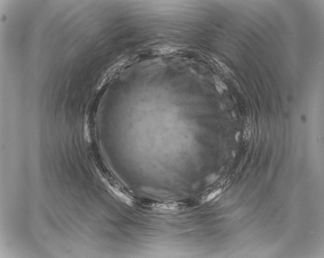 X0000057570524200510071547