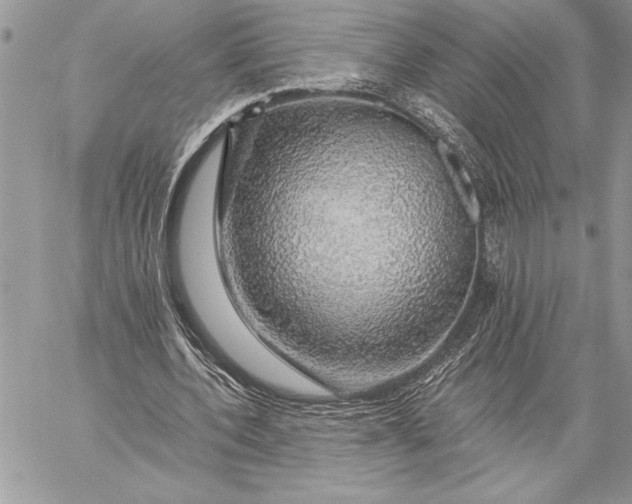 X0000057570532200510071546