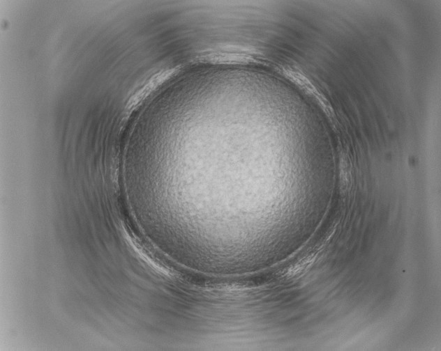X0000057570533200510071546