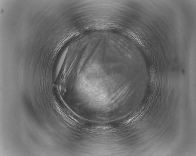 X0000057570542200510071546