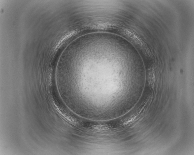 X0000057570544200510071546