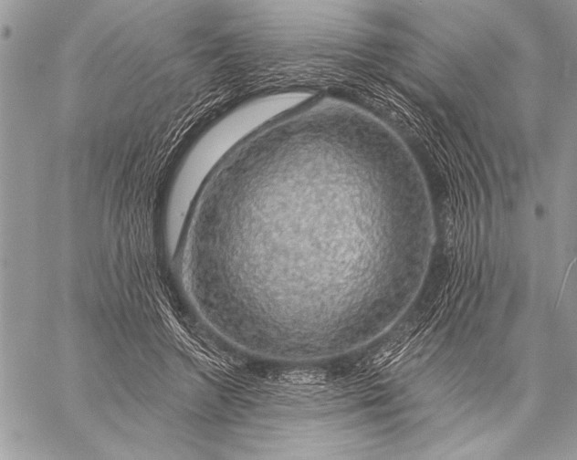 X0000057570546200510071546