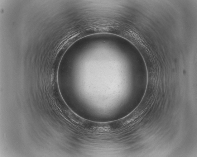 X0000057570548200510071546