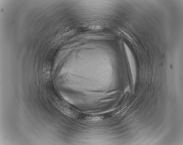 X0000057570553200510071546