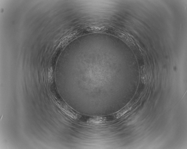 X0000057570563200510071546