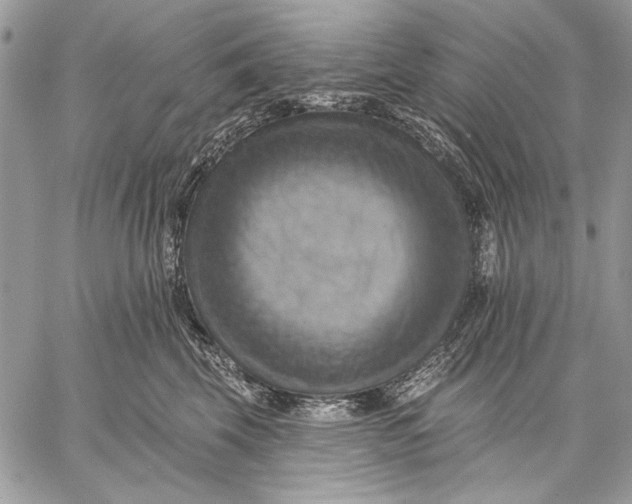 X0000057570569200510071546