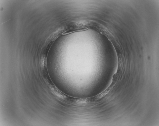 X0000057570574200510071546
