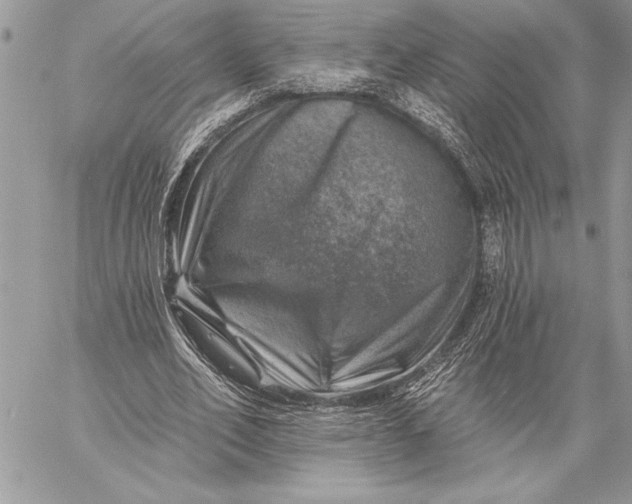 X0000057570582200510071546