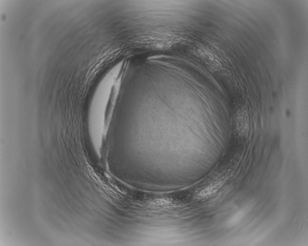 X0000057570594200510071545