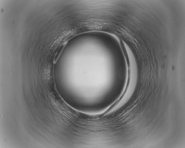 X0000057570600200510071545