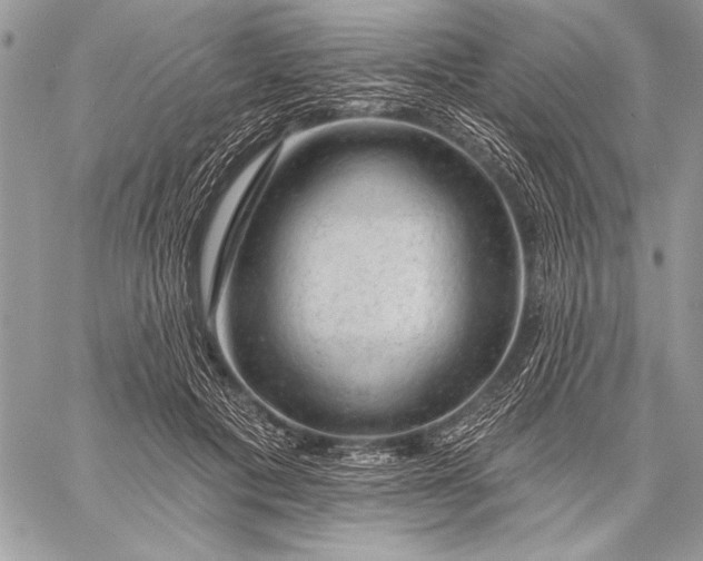 X0000057570601200510071545