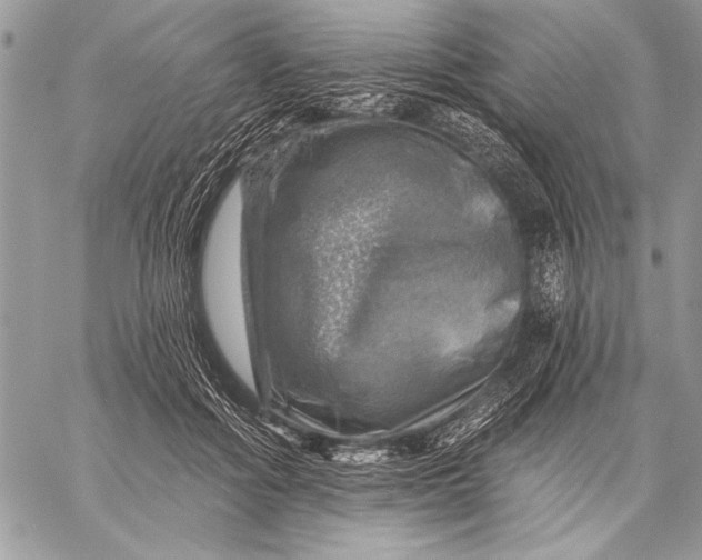 X0000057570602200510071545