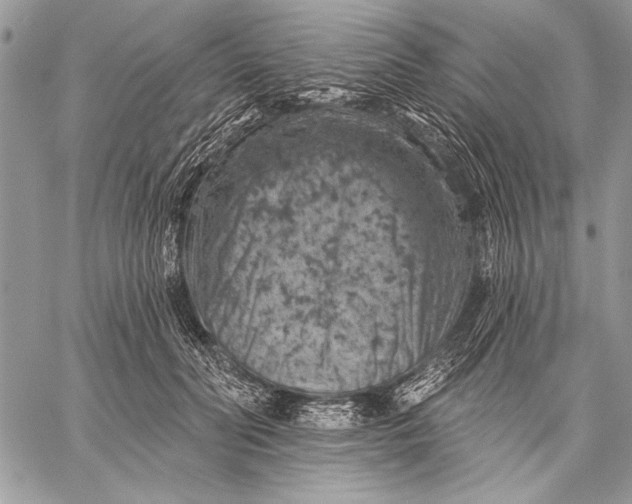 X0000057570606200510071545