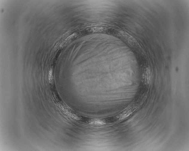 X0000057570610200510071545