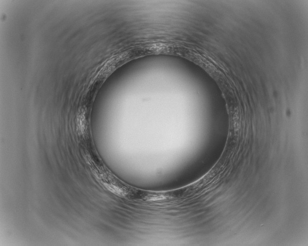 X0000057570611200510071545