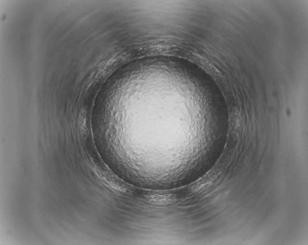 X0000057570615200510071545