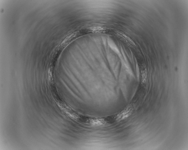 X0000057570618200510071545