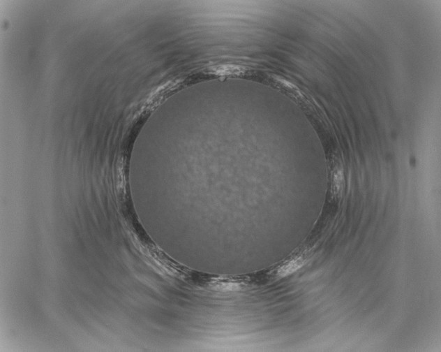 X0000057570620200510071545