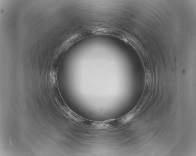 X0000057570621200510071545