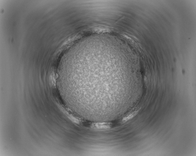 X0000057570622200510071545