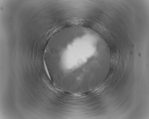 X0000057570623200510071545