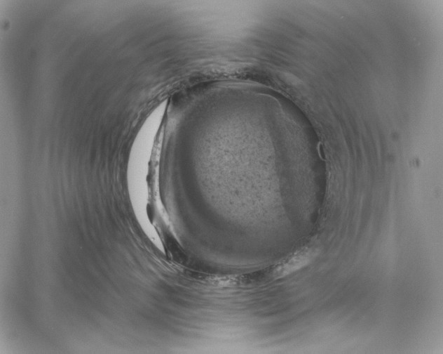 X0000057570624200510071545