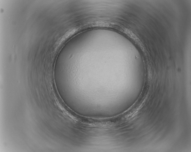 X0000057570625200510071544