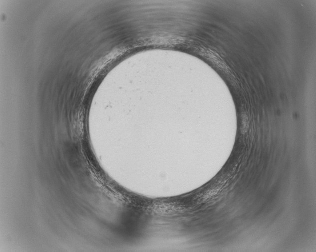 X0000057570632200510071544
