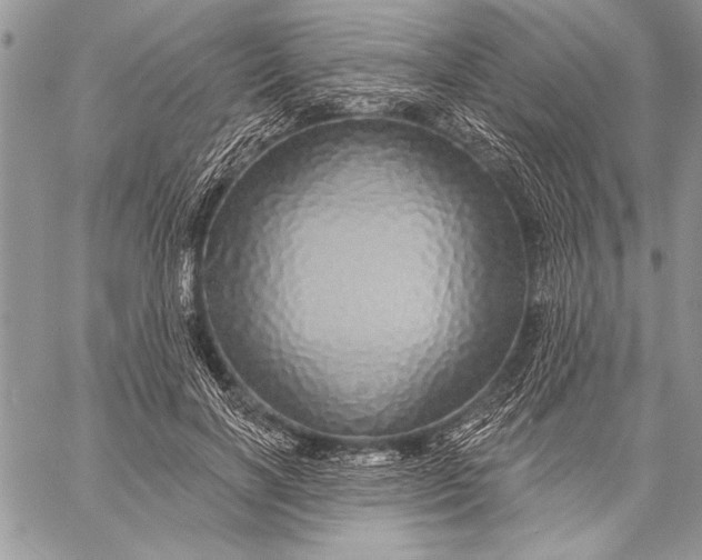 X0000057570646200510071544