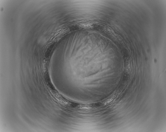 X0000057570658200510071545