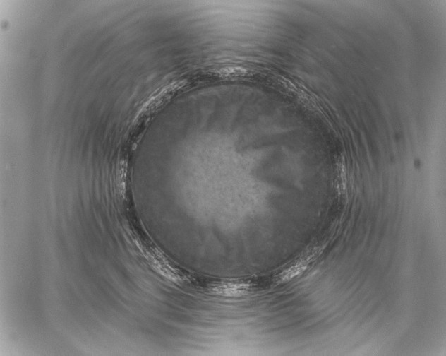 X0000057570664200510071545